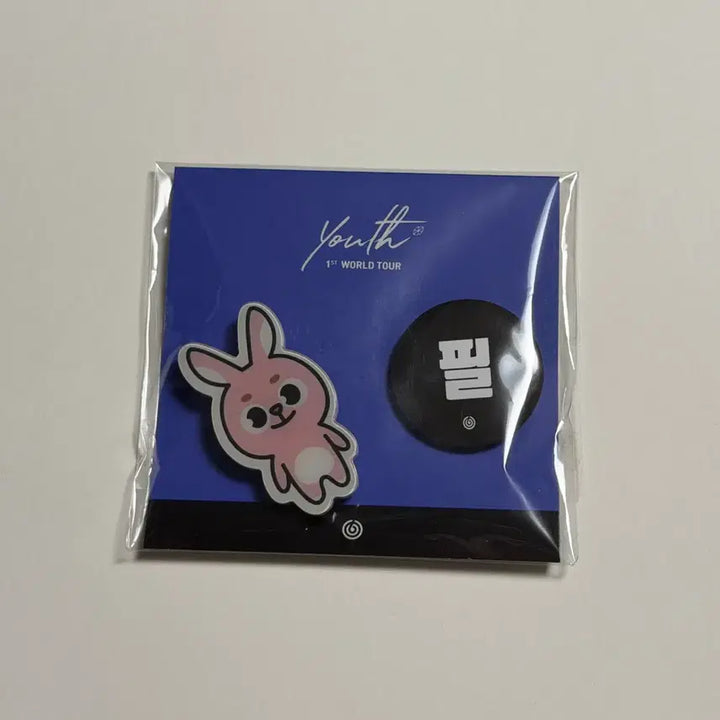[BUNJANG] Day6 Youth Pin Button Badge Set (Wonpil) / 데이식스 Youth MD 핀버튼 뱃지세트 (원필)