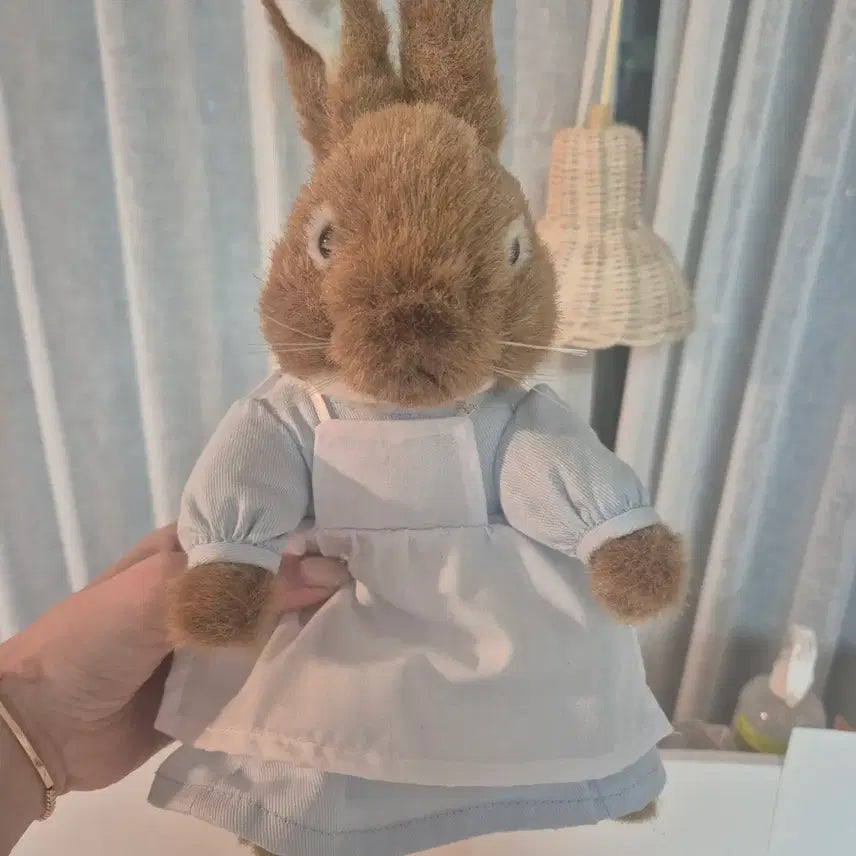 [BUNJANG] Peter Rabbit Mohair Plush / 피터래빗인형