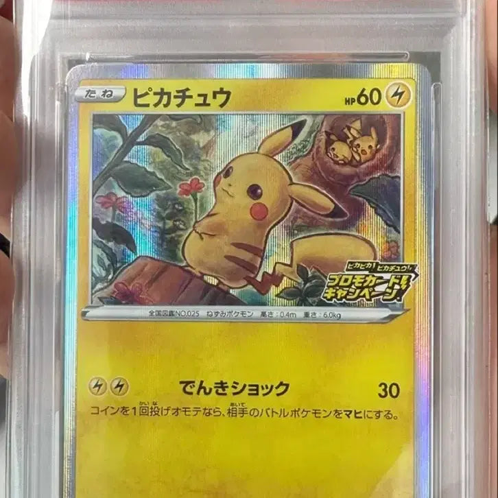 [BUNJANG] Pikachu Pikapika! 2020 Holo Promo PSA 10 / 2020 PIKAPIKA! PIKACHU! 피카피카 psa10 프로모