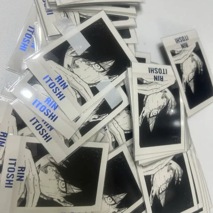 [BUNJANG] Blue Lock Isagi Rin PASHAT Card Set / (급처분)블루록 이토시 린 파샤 66장