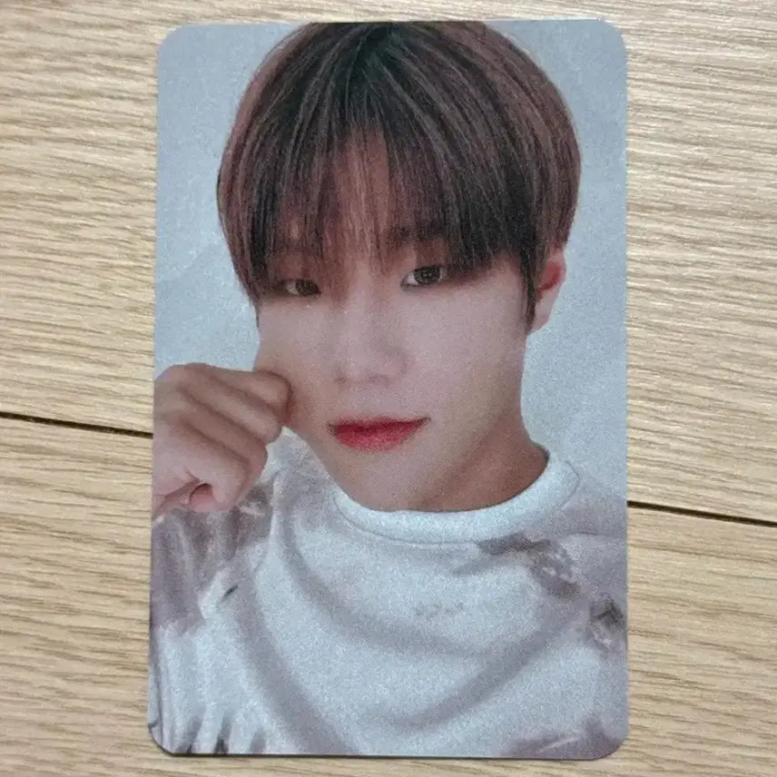 [BUNJANG] DKB Junseo Anirub Everline POB Photocard / 다크비 준서 아닛럽 에버라인 미공포 특전 포카