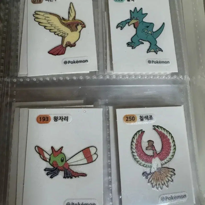 [BUNJANG] Pokemon Sticker Bundle - Pidgeot, Ho-Oh, Ducklett, Pidove / 포켓몬 띠부씰 일괄 판매 피죤투 칠색조 골덕 왕자리