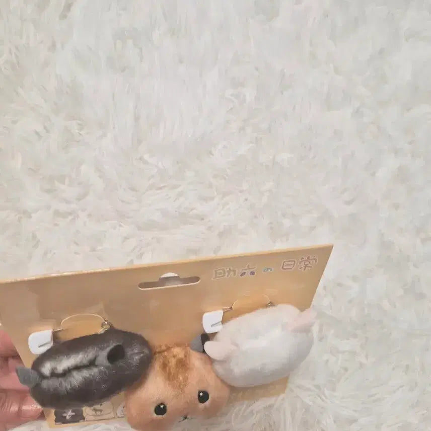 [BUNJANG] SukeRoku&
