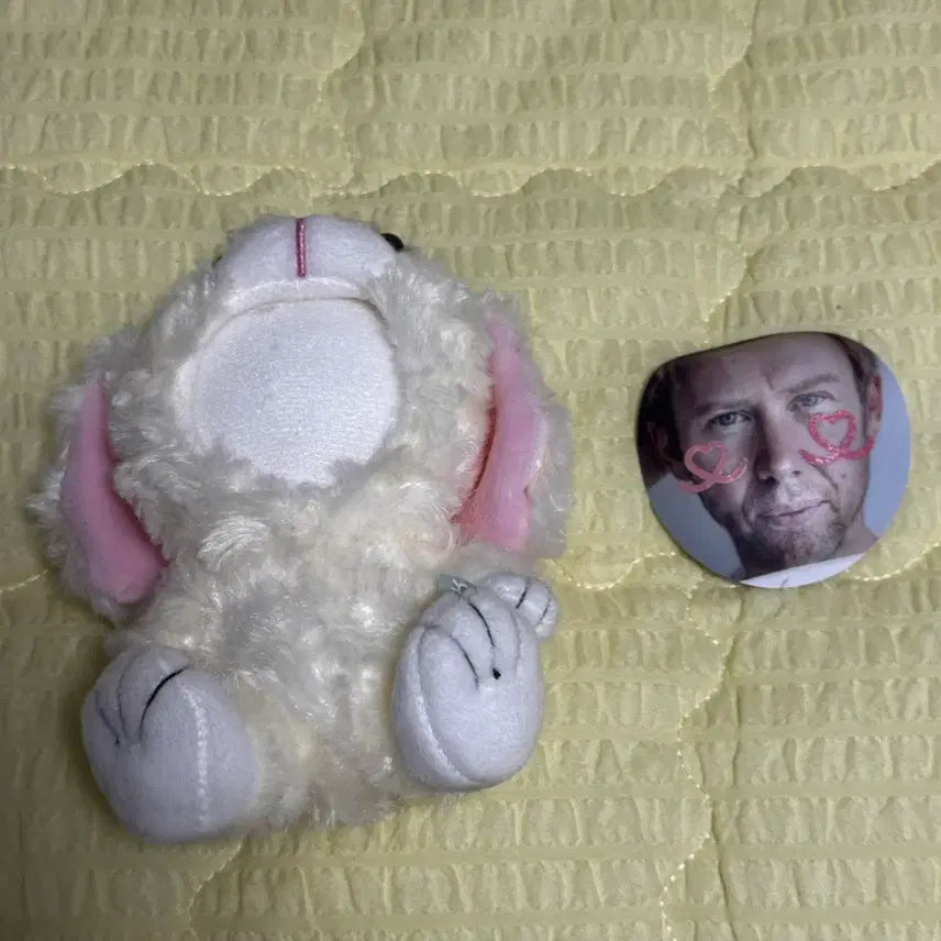 [BUNJANG] Phototok Large Plush Doll (Customizable Face) / 포토톡 대형 인형 (얼굴 커스텀 가능)