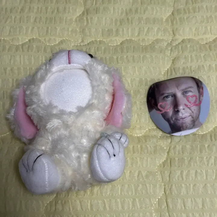 [BUNJANG] Phototok Large Plush Doll (Customizable Face) / 포토톡 대형 인형 (얼굴 커스텀 가능)