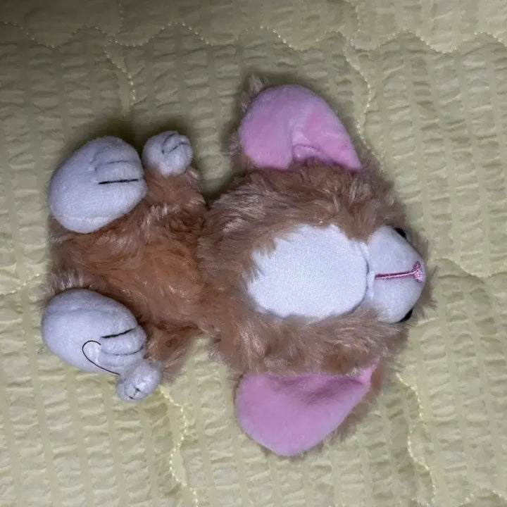 [BUNJANG] Customizable Photo Talk Doll / 포토톡 인형(커스텀 가능)