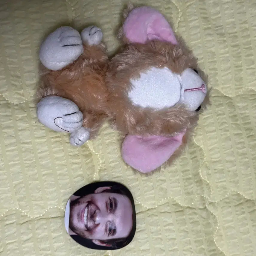 [BUNJANG] Customizable Photo Talk Doll / 포토톡 인형(커스텀 가능)