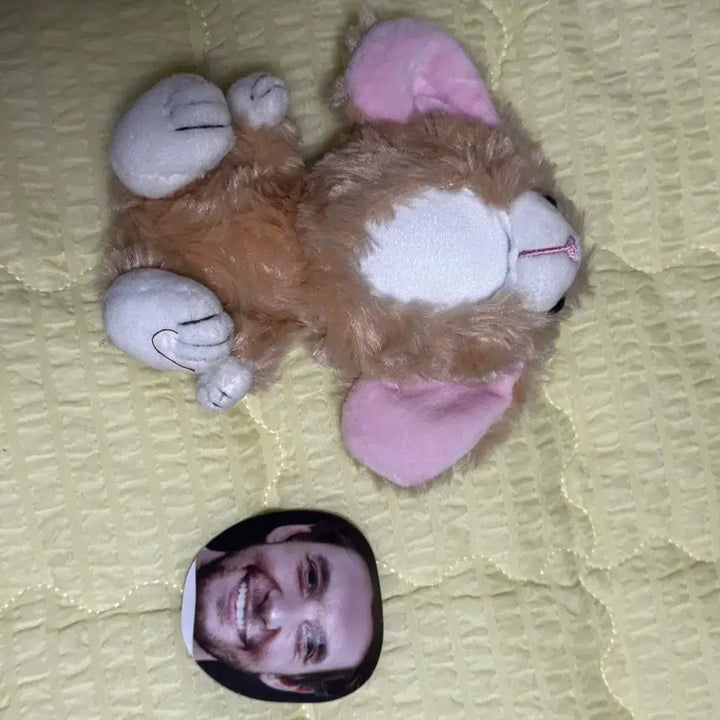[BUNJANG] Customizable Photo Talk Doll / 포토톡 인형(커스텀 가능)