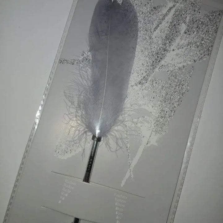 [BUNJANG] LeeDoh K-Pop Concert Entrance Gift Feather Pen / 리도어 단콘 Feathers 입장기프트 깃털펜