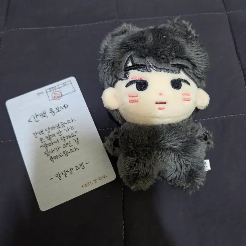 [BUNJANG] Aljjalnyang Wonwoo Doll / 알잘냥 원우 인형 판매