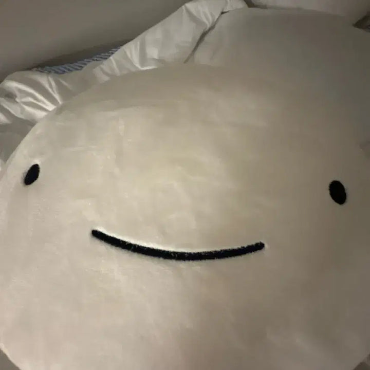 [BUNJANG] BOYNEXTDOOR Woongie Cushion / 보넥도 운아기 쿠션