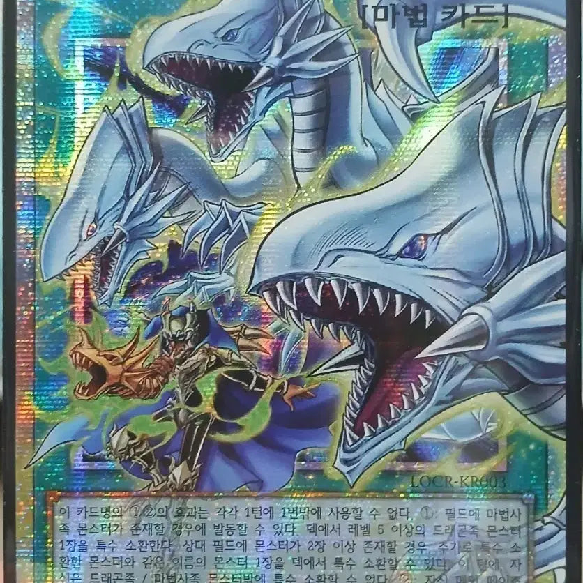 [BUNJANG] Yu-Gi-Oh! Dragonmaid Over Sized Sleeves / 유희왕 드래곤 인도의 호적 오버프싴