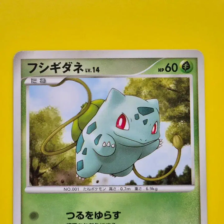 [BUNJANG] Pokemon Card Rare Flying Exeggutor Japanese / 포켓몬카드 희소 날아라 이상해씨 일판 일본판