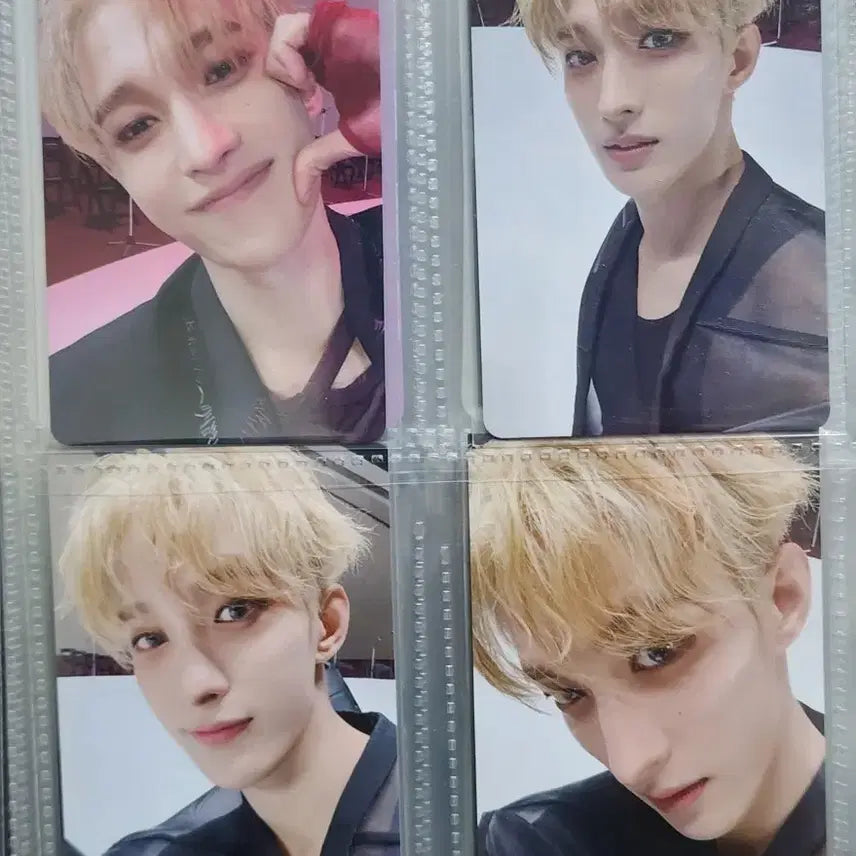 [BUNJANG] SEVENTEEN &