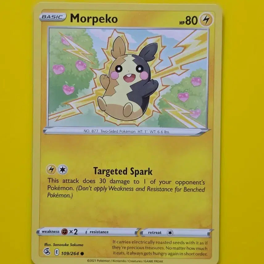 [BUNJANG] Pokemon Card Morpeko North American Edition / 포켓몬카드 모르페코 북미판