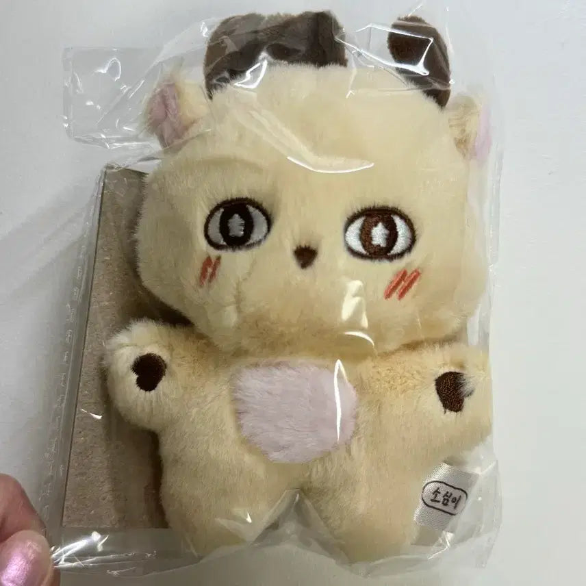 [BUNJANG] Park Jihoon Sosimi Doll Sealed / 박지훈 소심이 미개봉 양도합니다