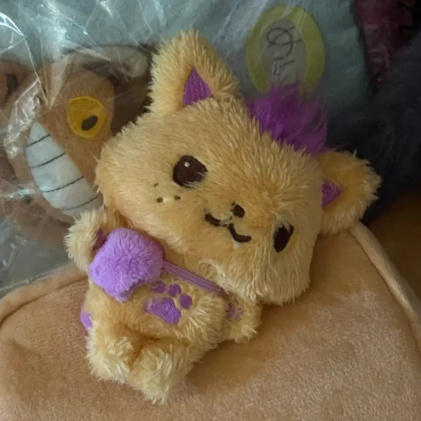 [BUNJANG] Wish Doll SIONING First Edition / 오늘만 3.3) 위시돌 시오닝 초판
