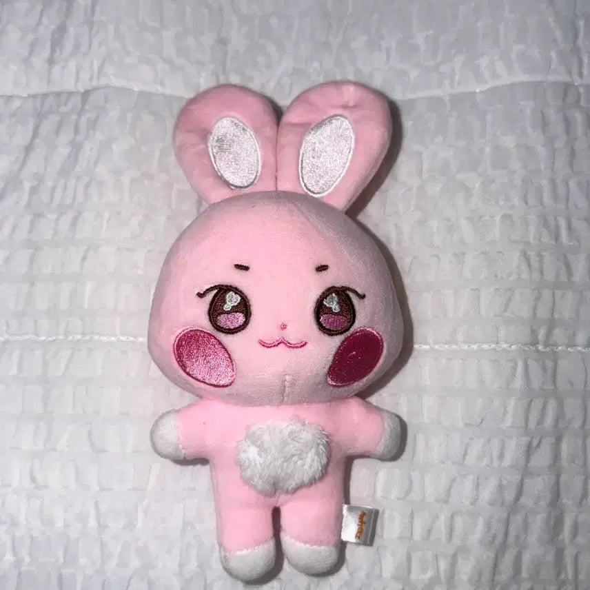 [BUNJANG] ATEEZ ANITEZ Seonghwa Doll Ddeongbyeori / 에이티즈 애니티즈 성화 인형 떵별이 원가이하 양도