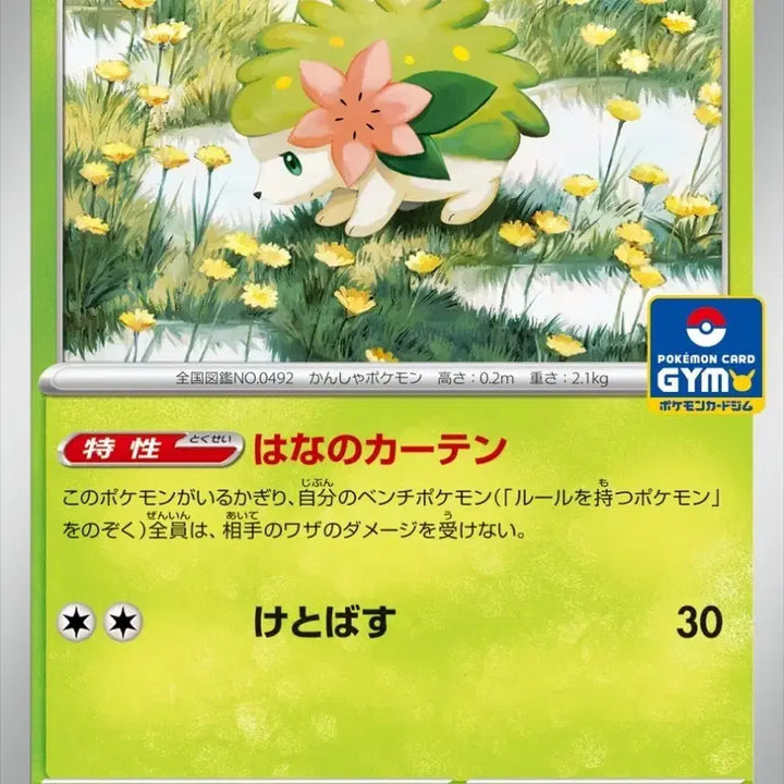 [BUNJANG] Pokemon Card Mega Promo 4th Gen, Jim Card, Shaymin (Japanese) / 포켓몬 카드 메가 mega 프로모 4탄 짐카드 쉐이미 일판 판매 및 교환