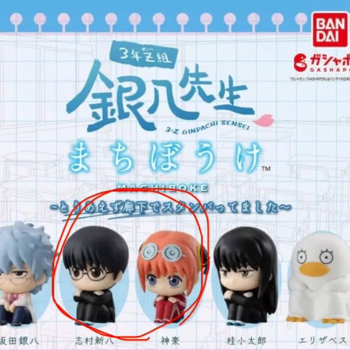 [BUNJANG] Gintama 3Z Machiboke Vol. 1 Shinpachi &amp; Kagura Bundle Set / 은혼 삼젯 마치보케 1탄 신파치, 카구라 일괄