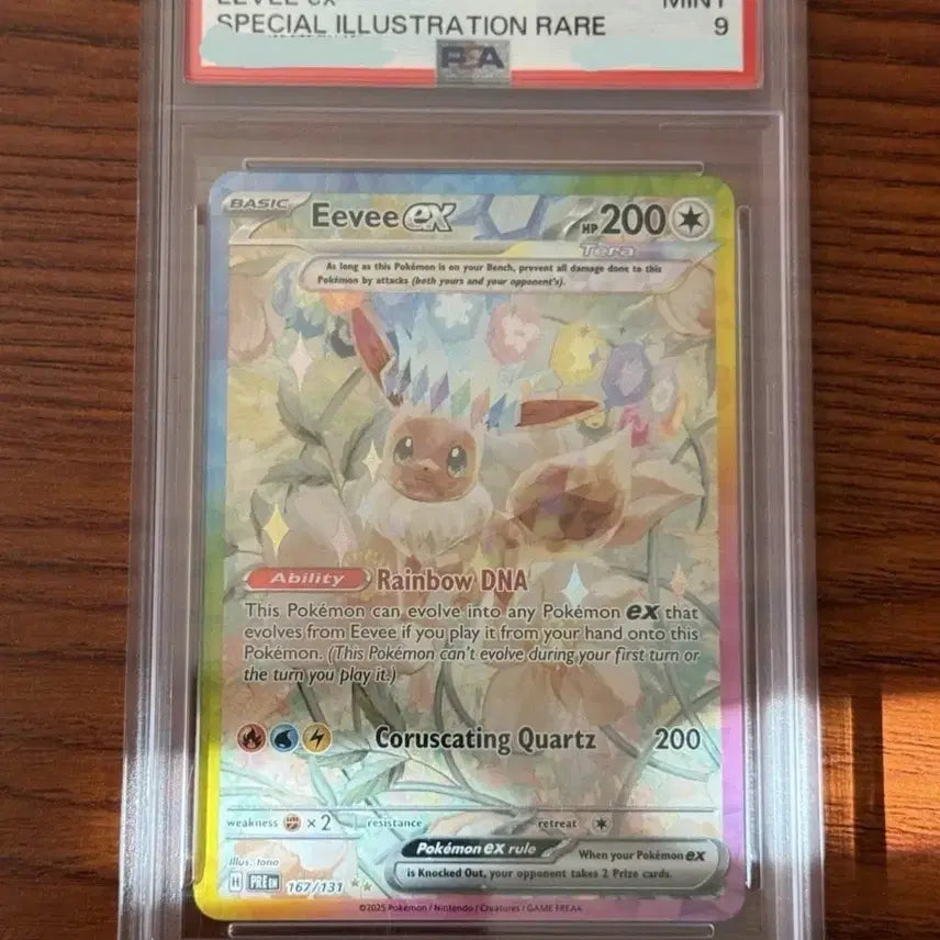 [BUNJANG] Pokemon Eevee ex Special Illustration Rare (PSA 9) North American Edition / PSA 9 포켓몬스터 북미판 이브이 ex 스페셜 일러스트 레어
