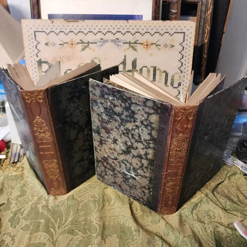 [BUNJANG] Antique French Book: HISTOIRE Volume 1 &amp; 2 / 고서 프랑스 HISTOIRE 2권 두께4.2cm 크기25.5mX16.7
