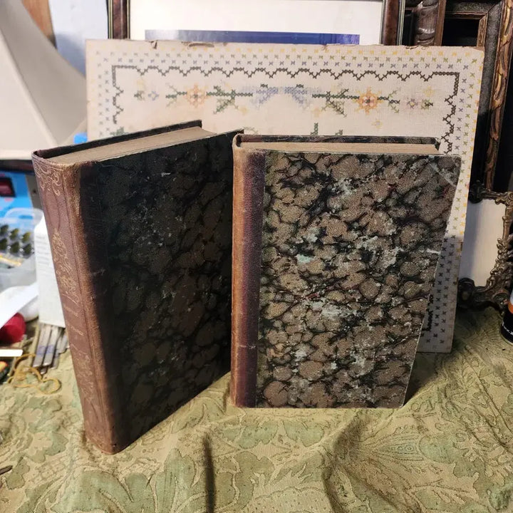 [BUNJANG] Antique French Book: HISTOIRE Volume 1 &amp; 2 / 고서 프랑스 HISTOIRE 2권 두께4.2cm 크기25.5mX16.7