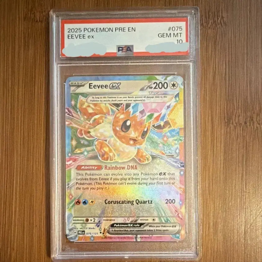 [BUNJANG] PSA 10 Eevee EX North American Edition Trading Card / PSA 10 포켓몬스터 북미판 이브이 EX 카드