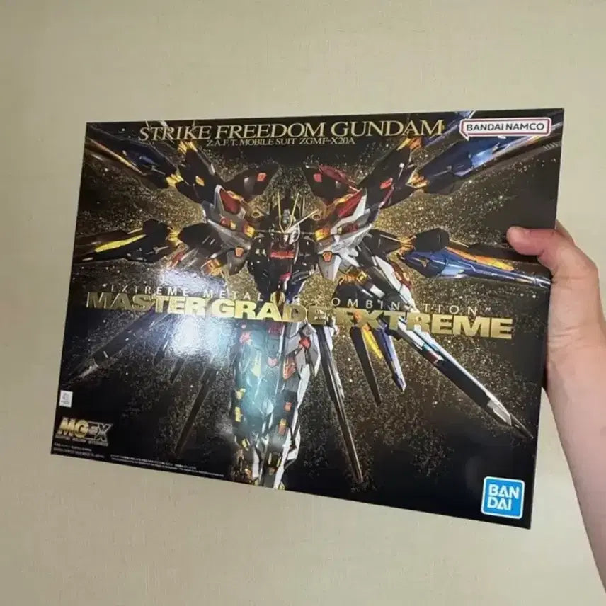 [BUNJANG] MGEX Freedom Gundam (Sealed) / mgex 프리덤 건담 미개봉 팝니다.