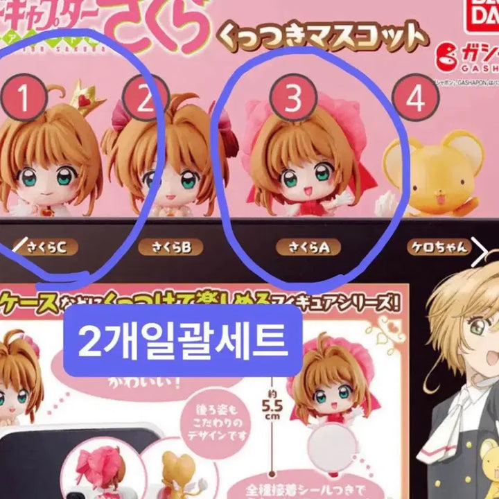 [BUNJANG] Cardcaptor Sakura Hyper Gacha Set / 일괄)카드캡터체리 히퍼 가챠 사쿠라