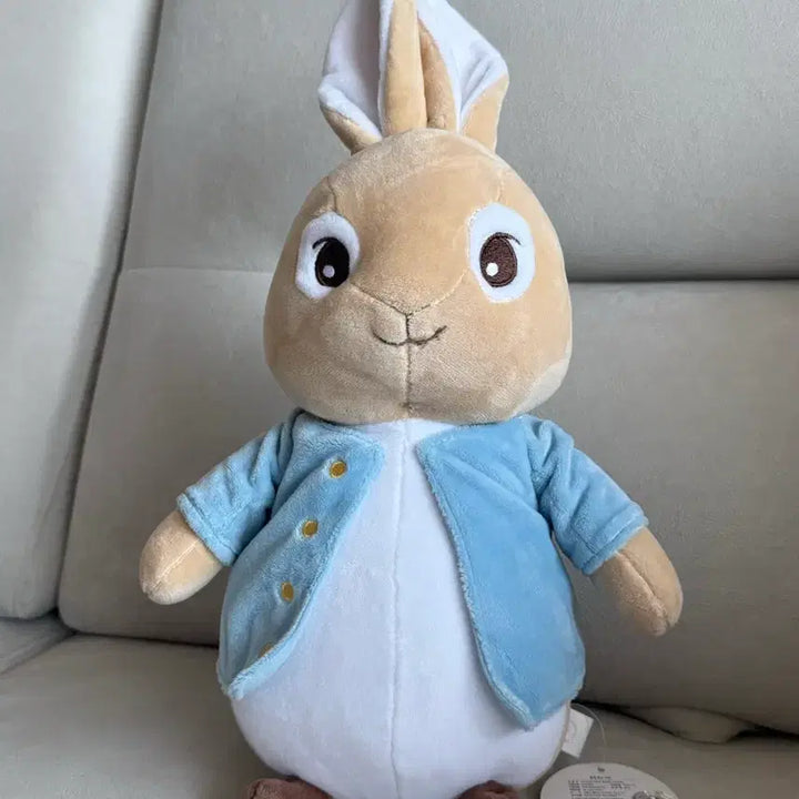 [BUNJANG] Peter Rabbit Medium Plush Doll (29cm) / 피터래빗 인형 29cm중형