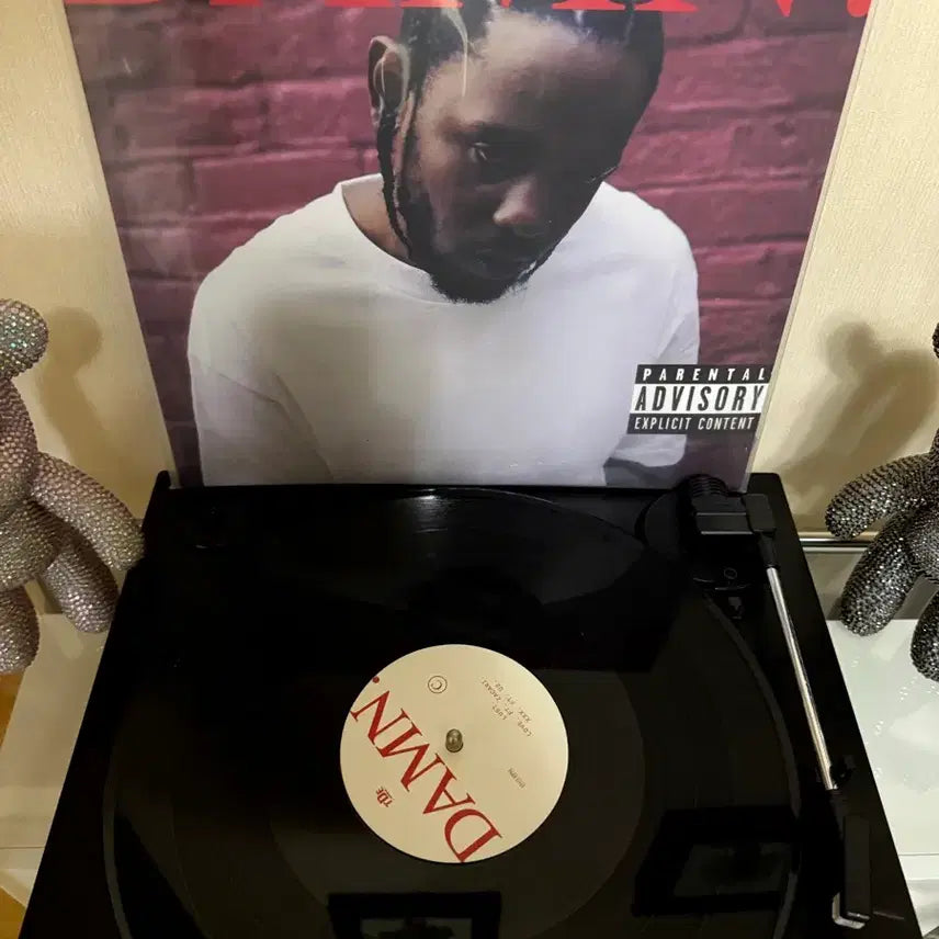 [BUNJANG] Kendrick Lamar DAMN. Vinyl LP / 켄드릭 라마 DAMN. 바이닐 LP