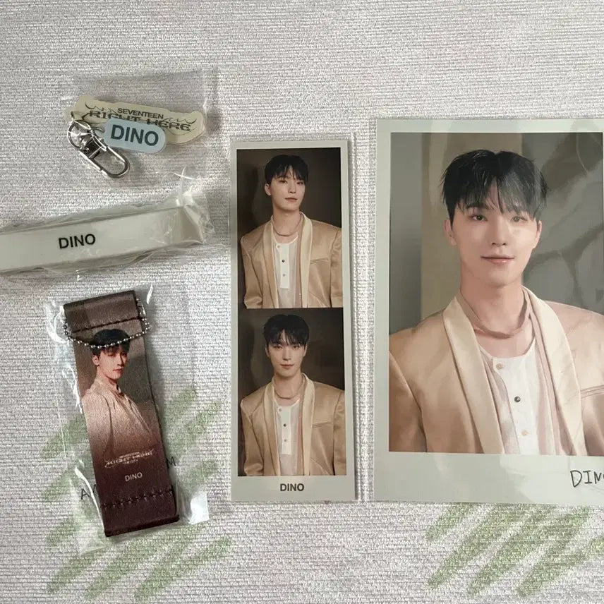 [BUNJANG] SEVENTEEN Dino Right Here Tour Merchandise Bundle Set / 세븐틴 라잇히어 디노 굿즈 모음