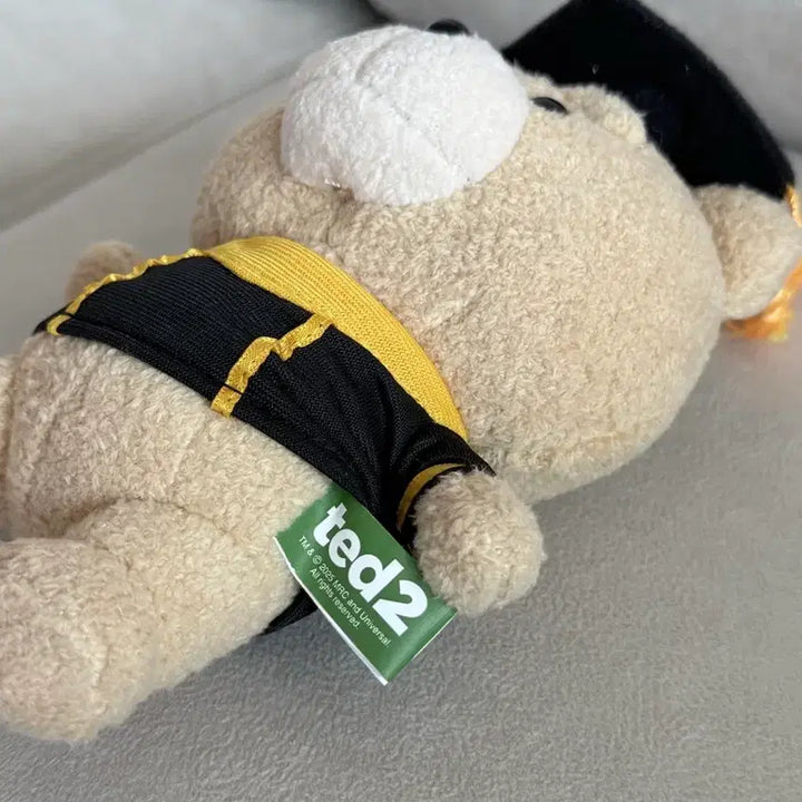 [BUNJANG] Ted Graduation Cap Keyring Plush Doll / 테드 학사모 키링 인형