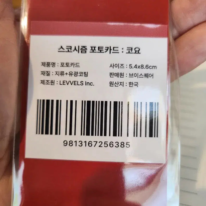 [BUNJANG] SCOSHISM Koyo Photocard / 스코시즘 코요 포카