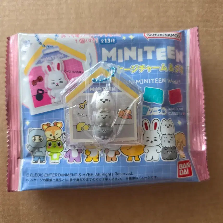 [BUNJANG] SEVENTEEN miniteen Jelly Package Keyring Jun / 세븐틴 miniteen 미니틴 젤리 패키지 키링 열닫잠 준 OCL