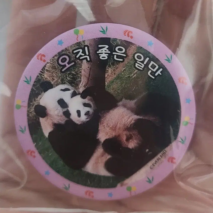 [BUNJANG] Aibao Cafe Pin Badge Day 4 / 아이바오 카페 핀뱃지 4일차
