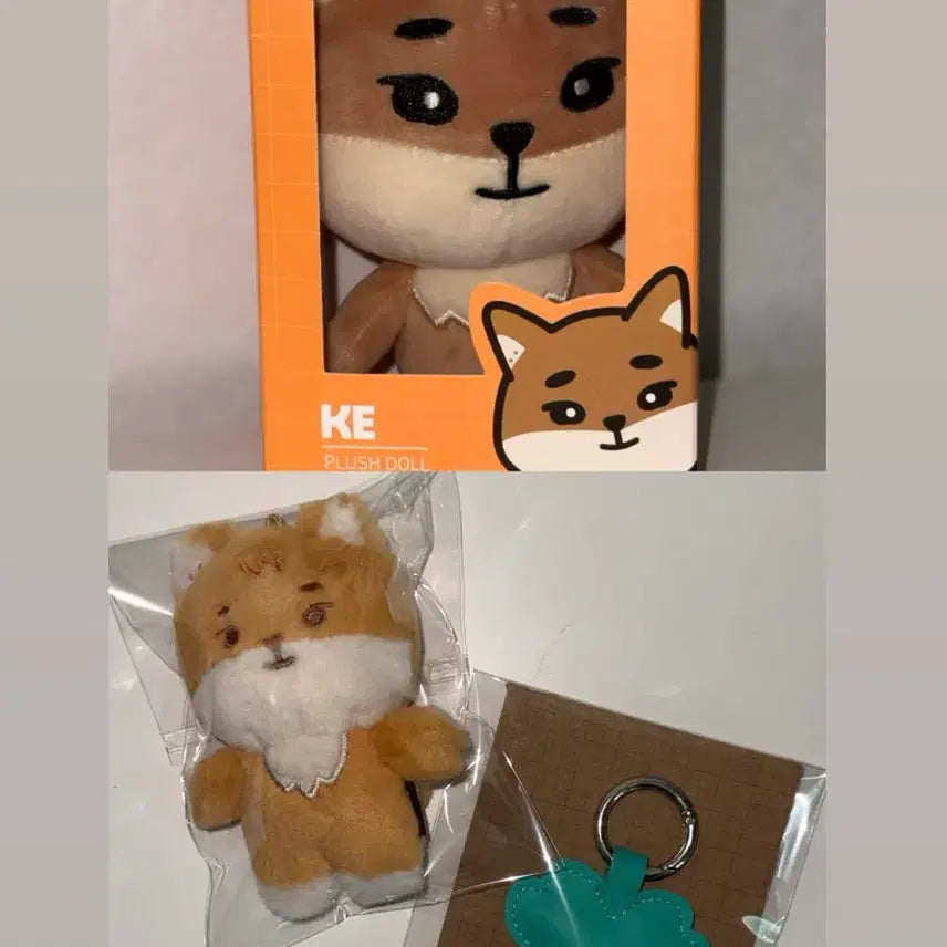 [BUNJANG] Day6 24DEMULPPEMUL Bundle Set Keyring / 원가이하 일괄 데이식스 24데멀쁘멀 케 + 4기키링