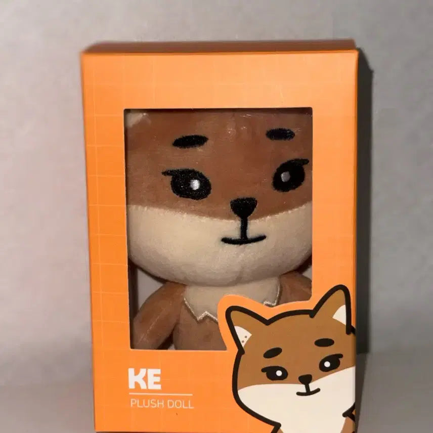 [BUNJANG] Day6 24DEMULPPEMUL Bundle Set Keyring / 원가이하 일괄 데이식스 24데멀쁘멀 케 + 4기키링