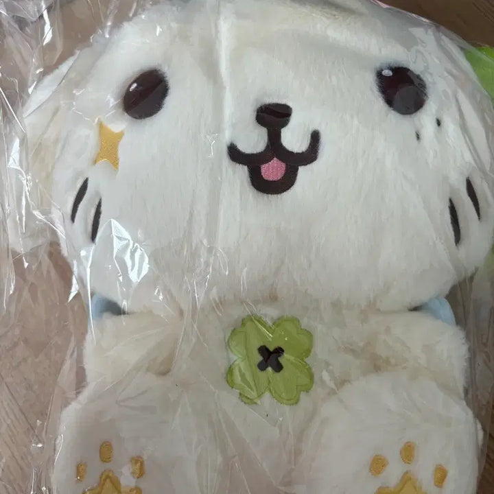 [BUNJANG] NCT WISH 30cm WISH Doll Bundle Set / 엔시티 위시 30cm 위시돌 (일괄판매)