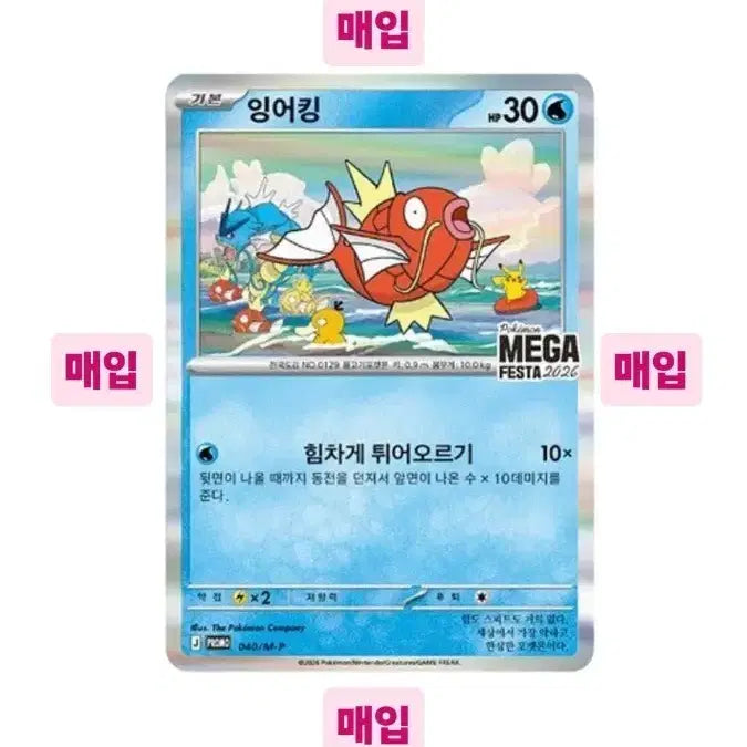 [BUNJANG] Pokemon Card Magikarp Promo Card / [매입/개당 8.7]포켓몬카드 잉어킹 프로모 카드