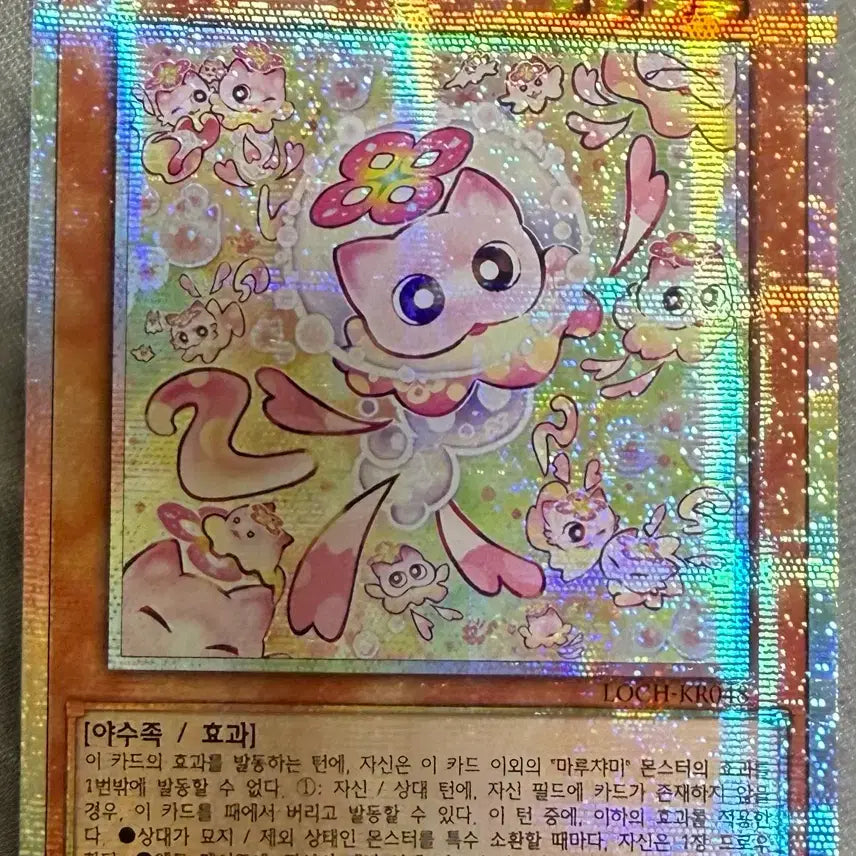 [BUNJANG] Maruchami Nyarus Prismic Grandmaster Card / 마루챠미 냐루스 프싴