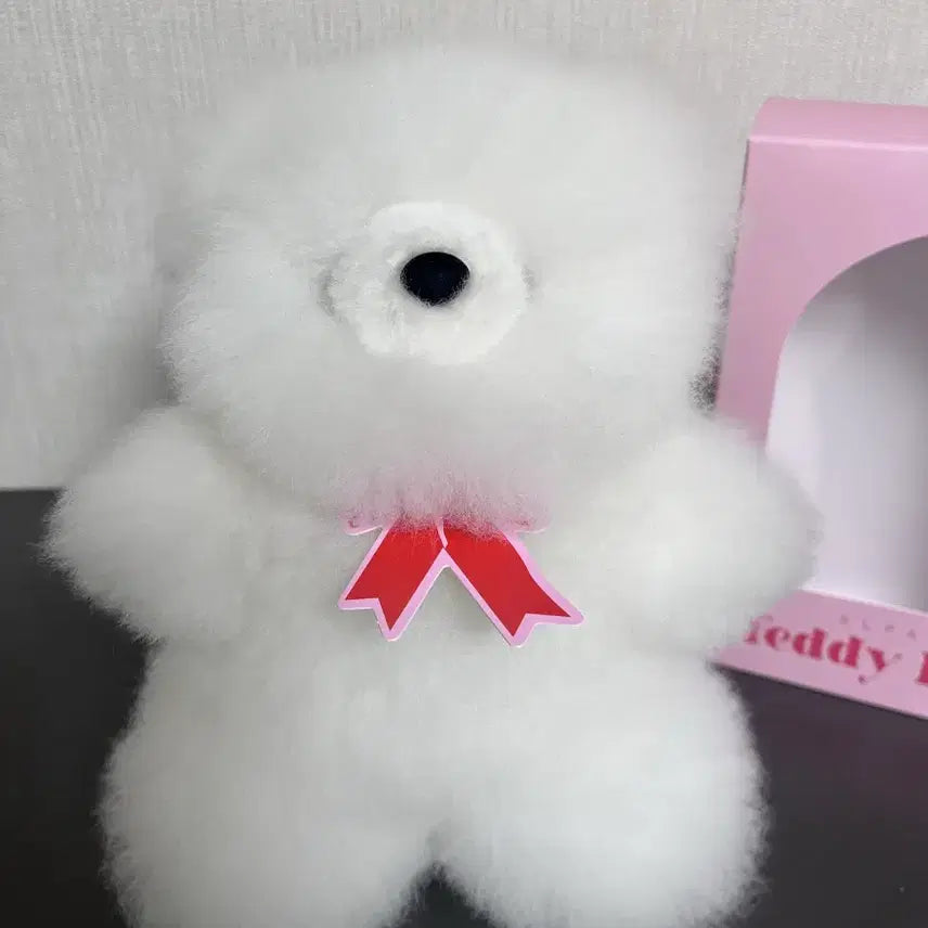 [BUNJANG] Arte Alpaca Teddy Bear - Ivory, Size S (Slightly Oversized) / 아르떼 알파카 테디베어 S사이즈