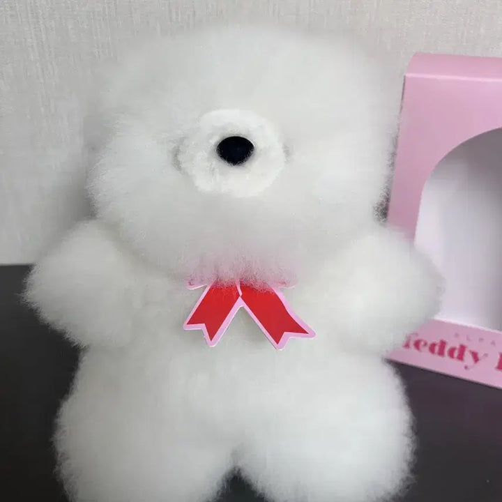 [BUNJANG] Arte Alpaca Teddy Bear - Ivory, Size S (Slightly Oversized) / 아르떼 알파카 테디베어 S사이즈