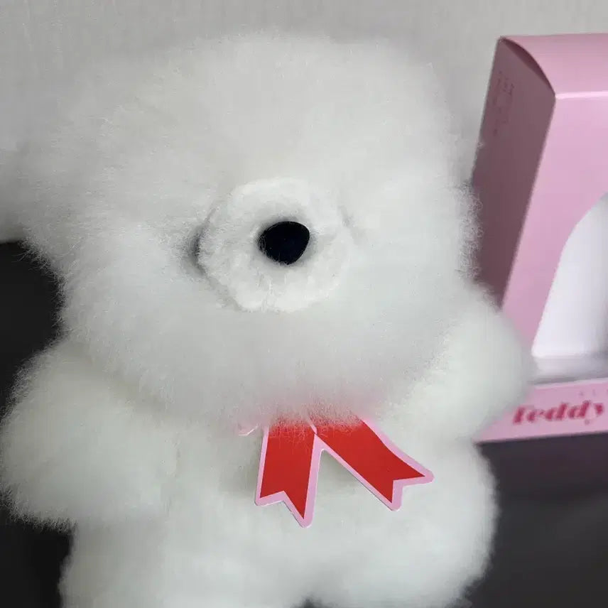[BUNJANG] Arte Alpaca Teddy Bear - Ivory, Size S (Slightly Oversized) / 아르떼 알파카 테디베어 S사이즈