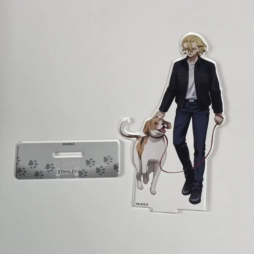 [BUNJANG] Dr. Stone Stanley Acrylic Standee / 닥터스톤 스탠리 아크릴