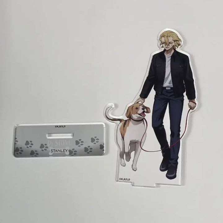 [BUNJANG] Dr. Stone Stanley Acrylic Standee / 닥터스톤 스탠리 아크릴