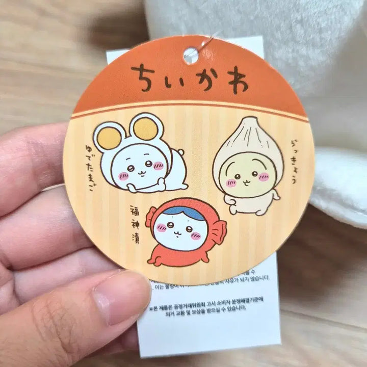 [BUNJANG] Chiikawa Curry and Friends BIG Plush / 오늘만특가(일본 정품) 먼작귀 치이카와_카레와 친구들 BIG