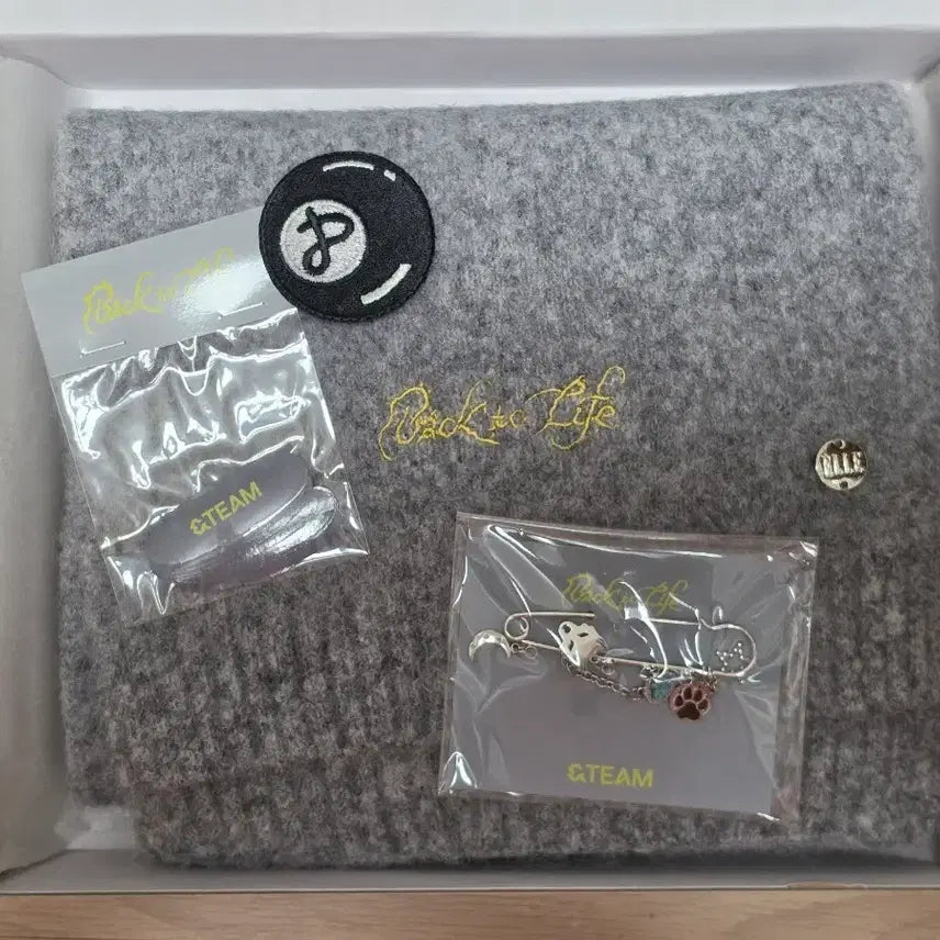 [BUNJANG] &amp;team Back To The Future Show Photocard / 앤팀 &amp;team 백투라 한국 쇼케 역조공 backtolife 포카