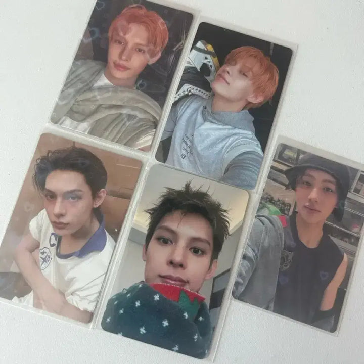 [BUNJANG] KORTIZSE Martin Photocard / 코르티스 포카 양도 마틴주훈성현건호제임스